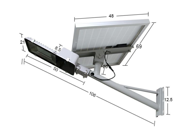 410 Dual body street lamp